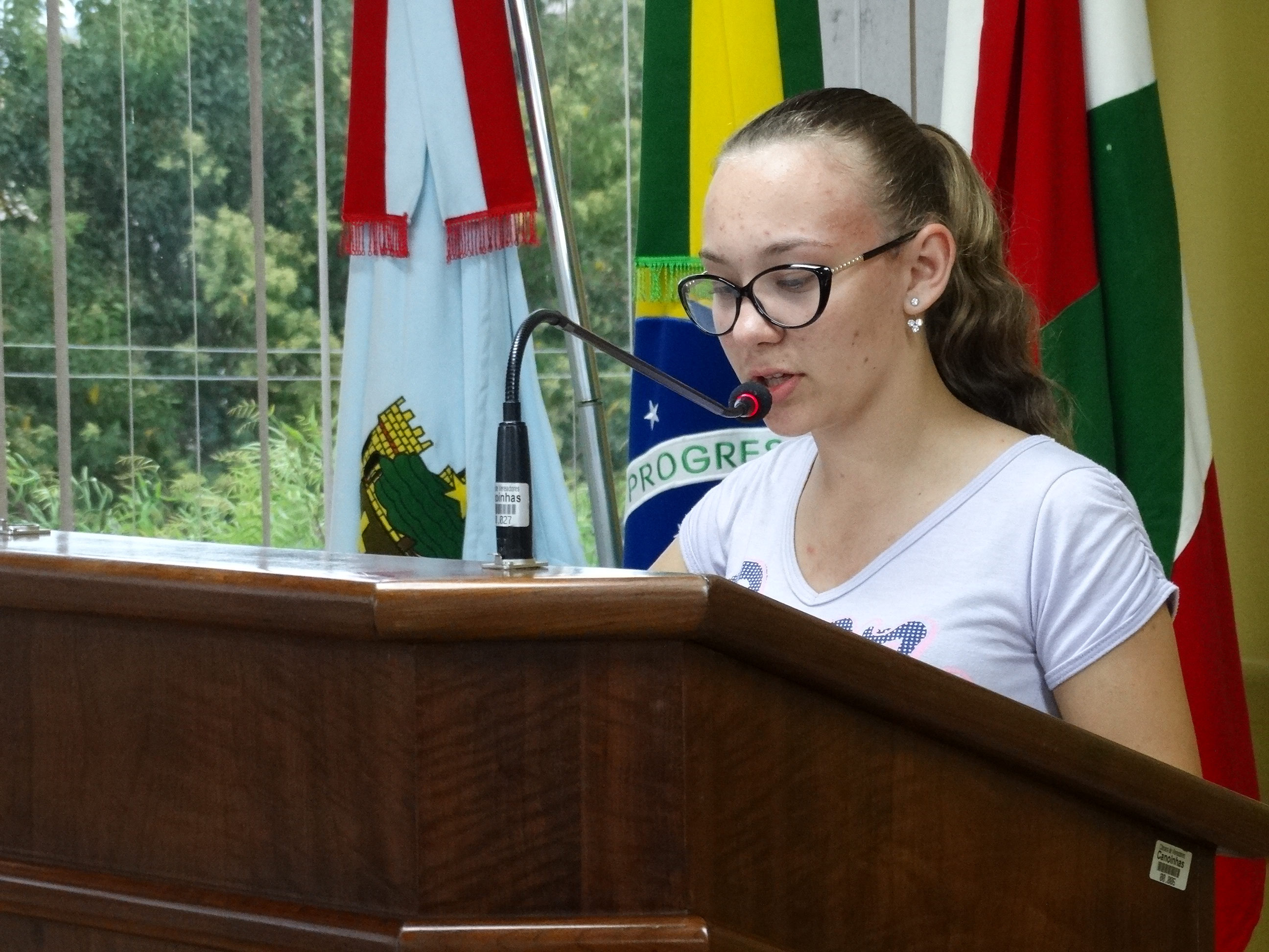 Câmara Mirim debate ética e cidadania em retorno das sessões ordinárias