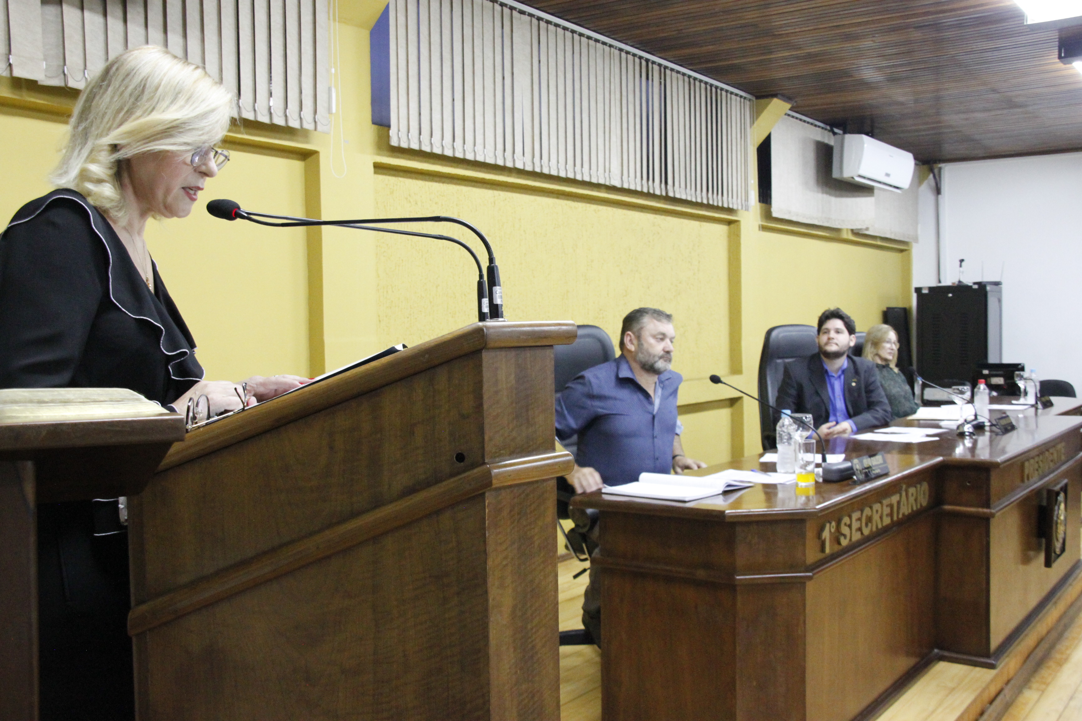 Moradora utiliza tribuna para relatar estado precário de rua