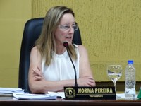 Norma sugere bonificação para funcionários da Unidade de Pronto Atendimento