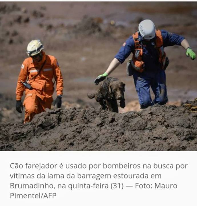 Paulo Glinski solicita Moção de Parabenização para Capitão Clemente Michels, que atua na tragédia de Brumadinho, em Minas Gerais 