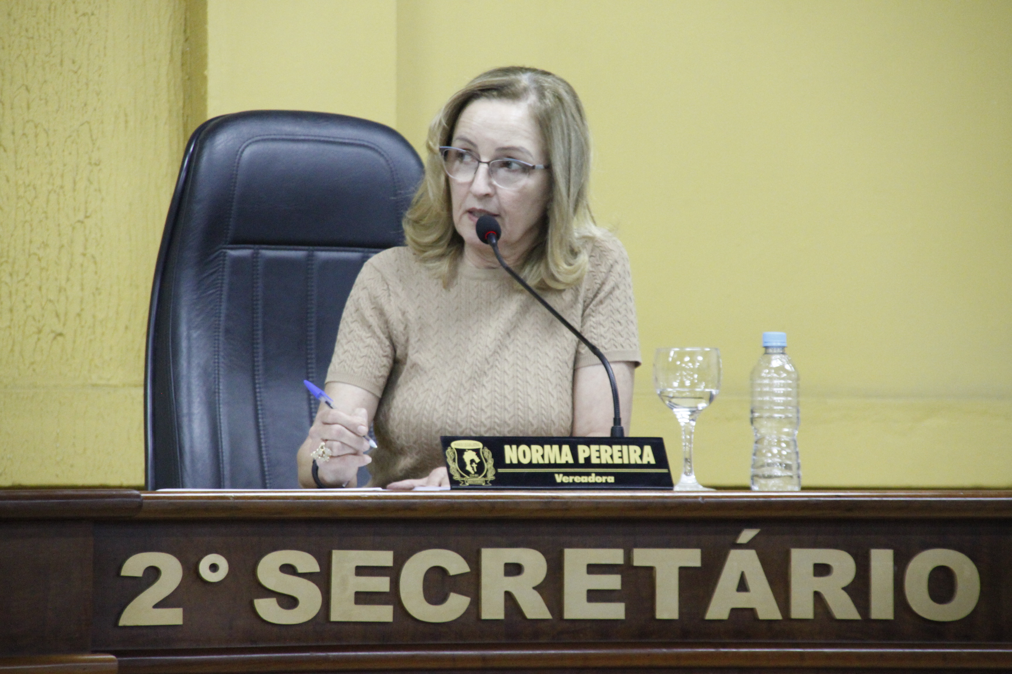 Vereadora Norma apresenta requerimentos na área Ambiental