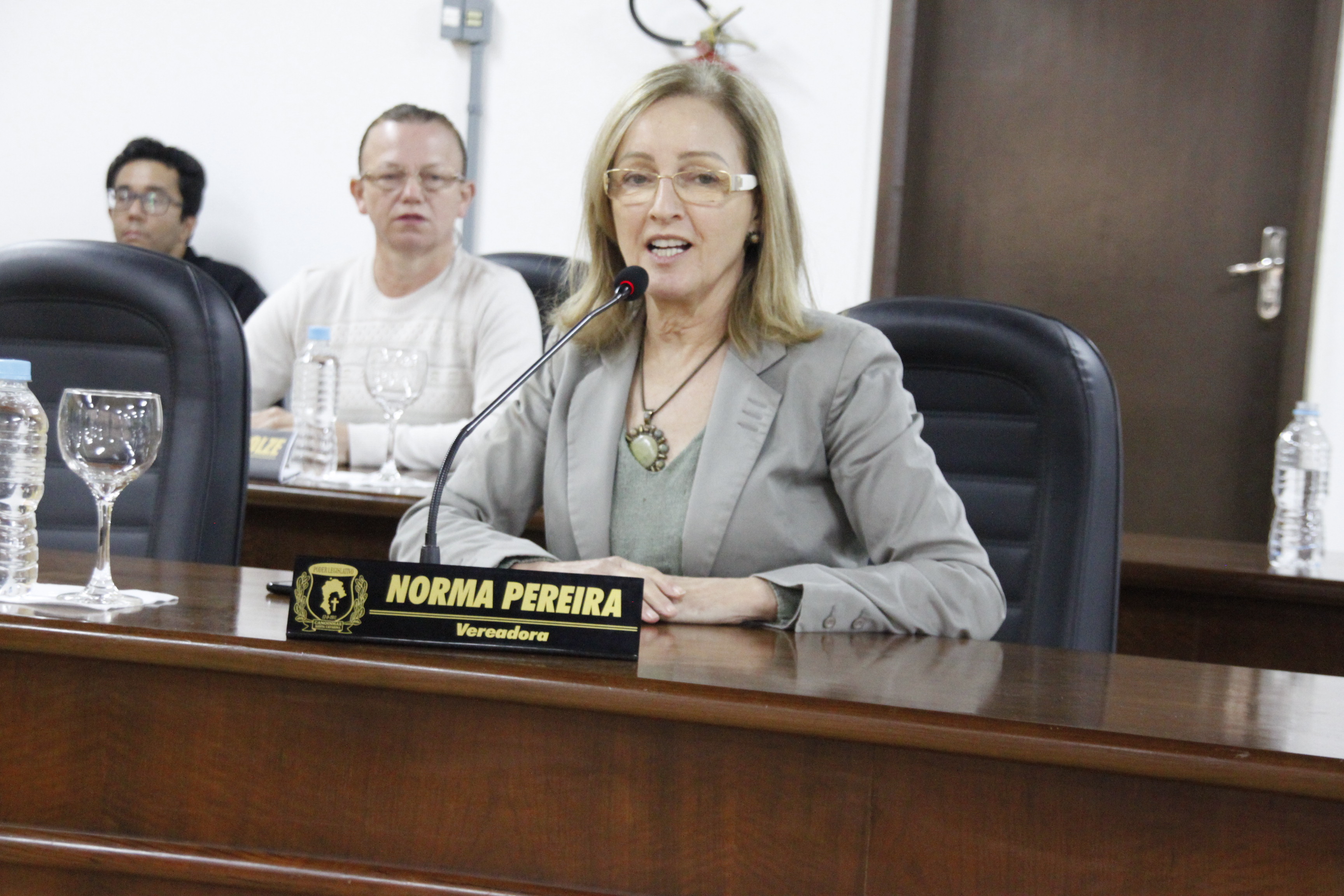 Vereadora Norma pede por projetos que visem à geração de renda da população canoinhense