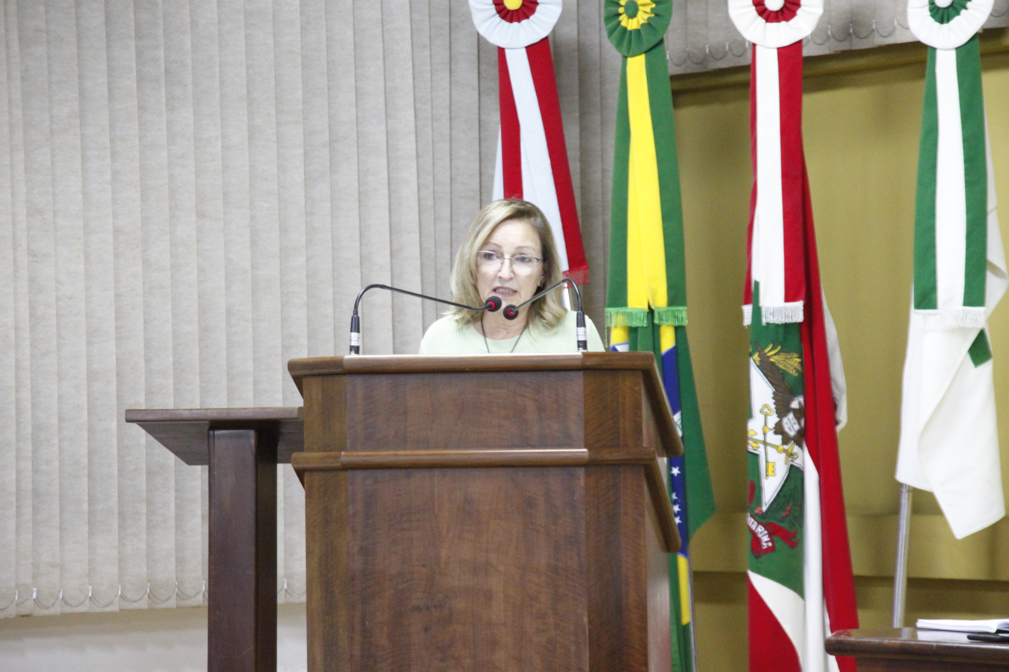 Vereadora Norma Pereira apresenta diversos requerimentos direcionados ao prefeito 